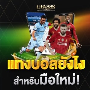 แทงบอลยังไง