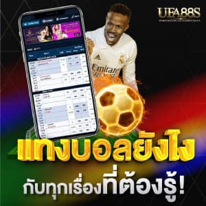 แทงบอลยังไง